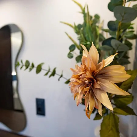 Apartman Matsi
